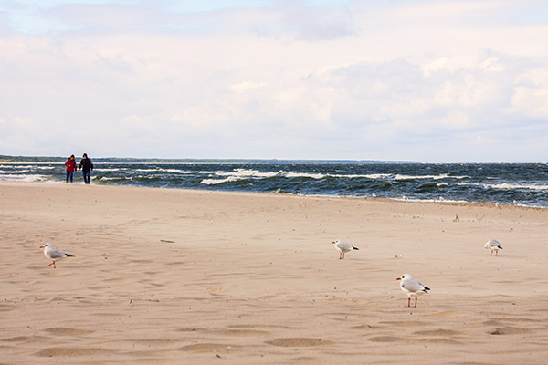 Breiter Sandstrand der Ostsee auf Usedom mit Möwen